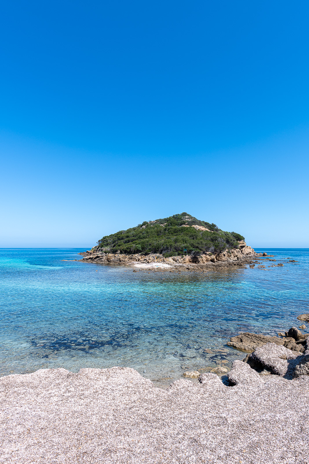 Farina Island Corsica
