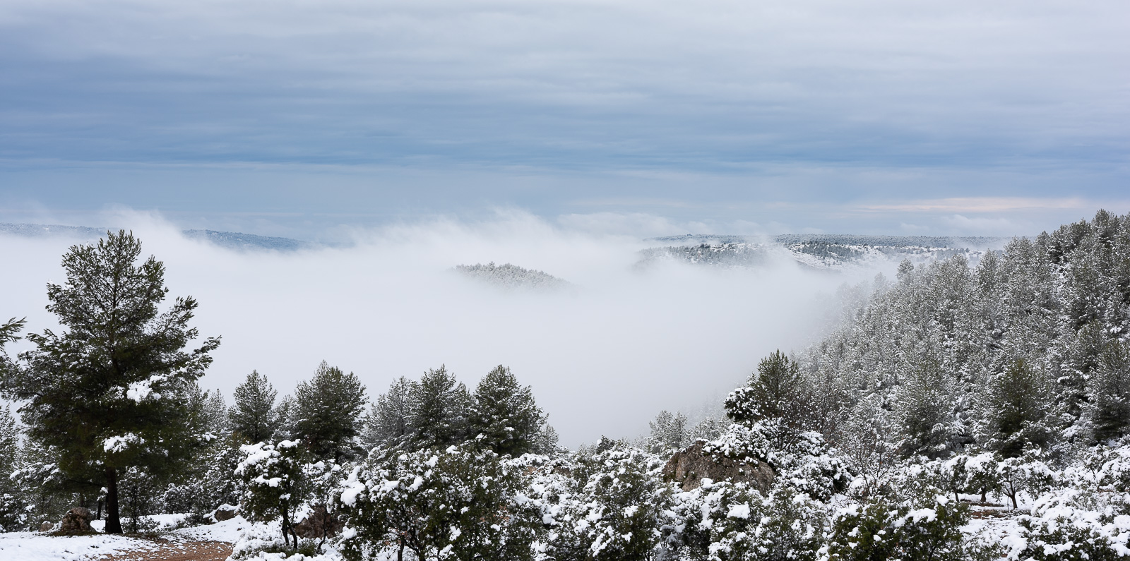 Snowy Provencal Serenity